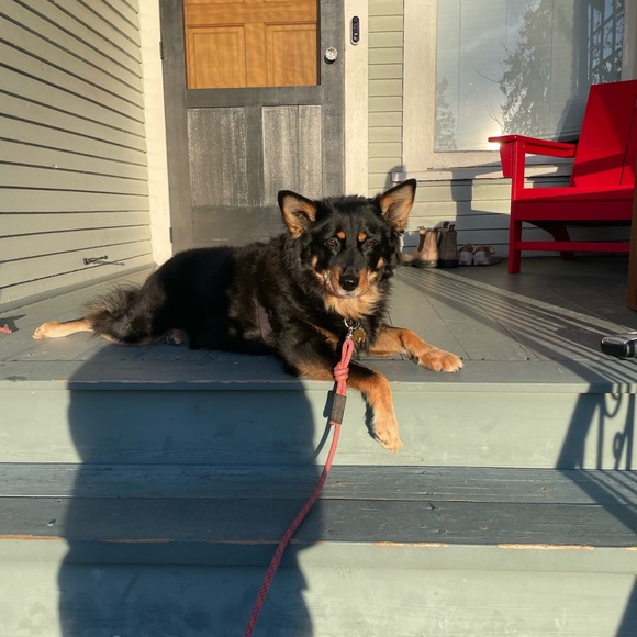 Meet your Posher, Brooke - Picture 1 of 1